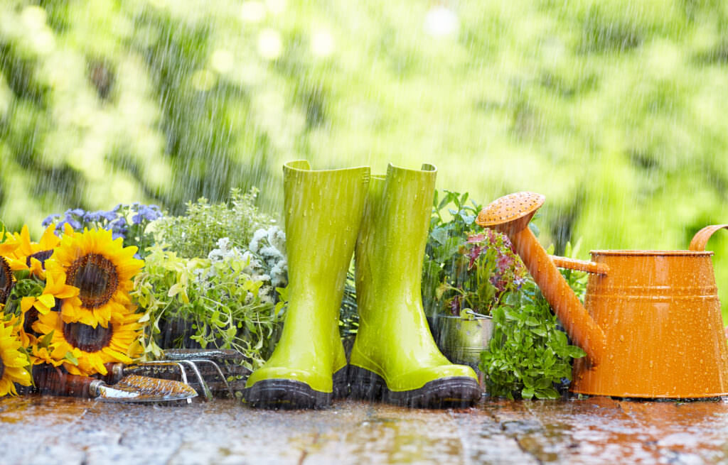 Gartenarbeit bei Regen – schlechte Tage nutzen, um wichtige Arbeiten zu machen