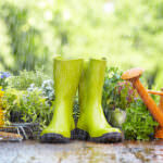 Gartenarbeit bei Regen – schlechte Tage nutzen, um wichtige Arbeiten zu machen