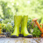 Gartenarbeit bei Regen – schlechte Tage nutzen, um wichtige Arbeiten zu machen