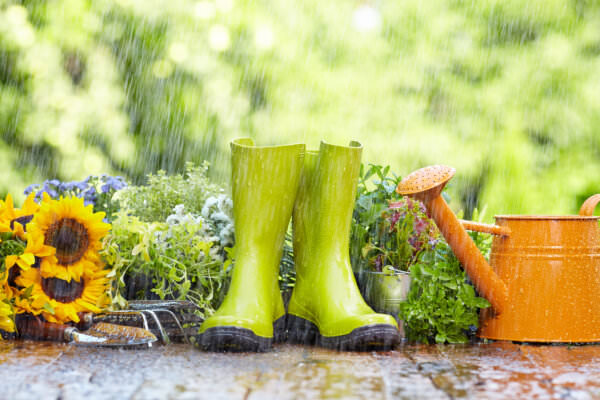Regen Gartenarbeit