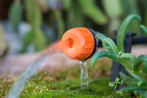 Die Düse eines Tropfsystems von ganz nahem. Aus ihr läuft Wasser in den Boden. Drum herum weiteres Grün, verschwommener Hintergrund
