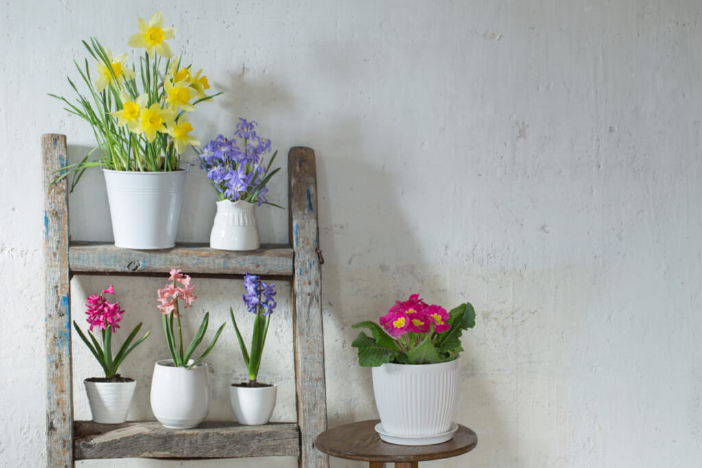 DIY Blumentreppe – so kommen Ihre Pflanzen zur Geltung