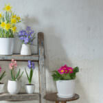 DIY Blumentreppe – so kommen Ihre Pflanzen zur Geltung