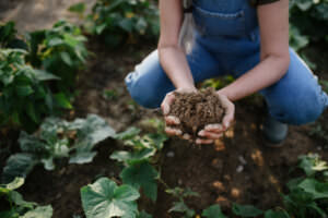 Garten Boden