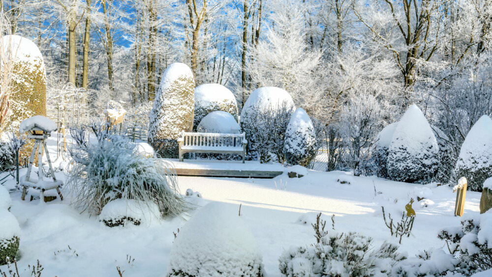 Garten Winter