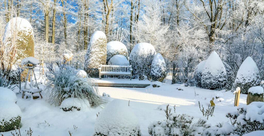 Der Garten im Winter – Pflegefehler vermeiden