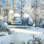 Der Garten im Winter – Pflegefehler vermeiden