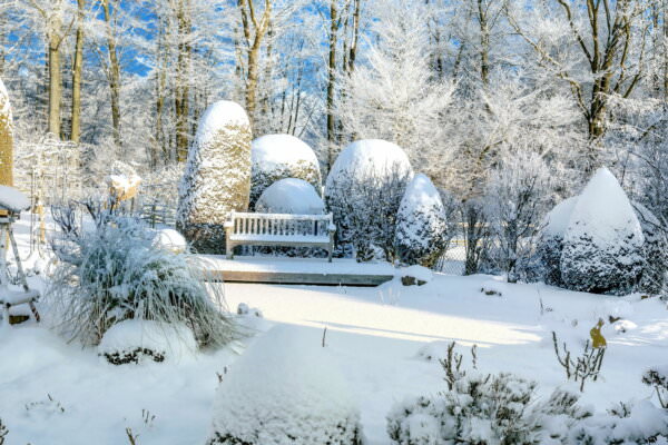 Garten Winter