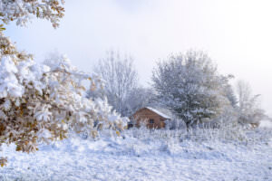 Schnee Garten