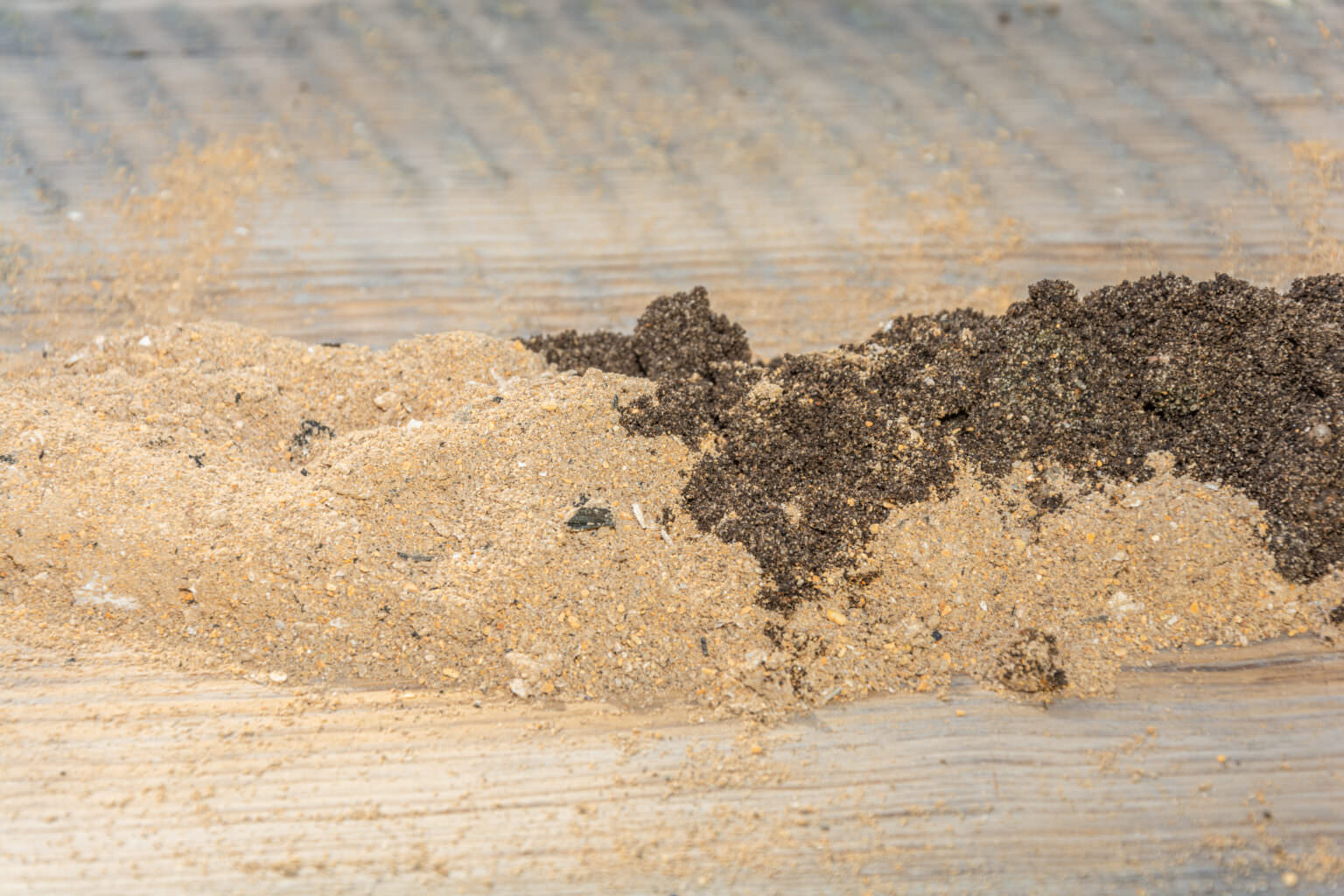 Asche Asche als Dünger: Wann ist sie geeignet und wann nicht? - Samenhaus ...