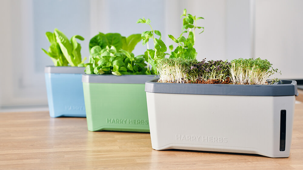 HARRY HERBS – der neue Kräutertopf von Gusta Garden