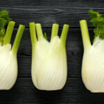 Unterschied Knollenfenchel und Gewürzfenchel – who is who?