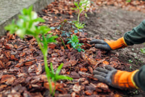 Life-Hacks Mulch