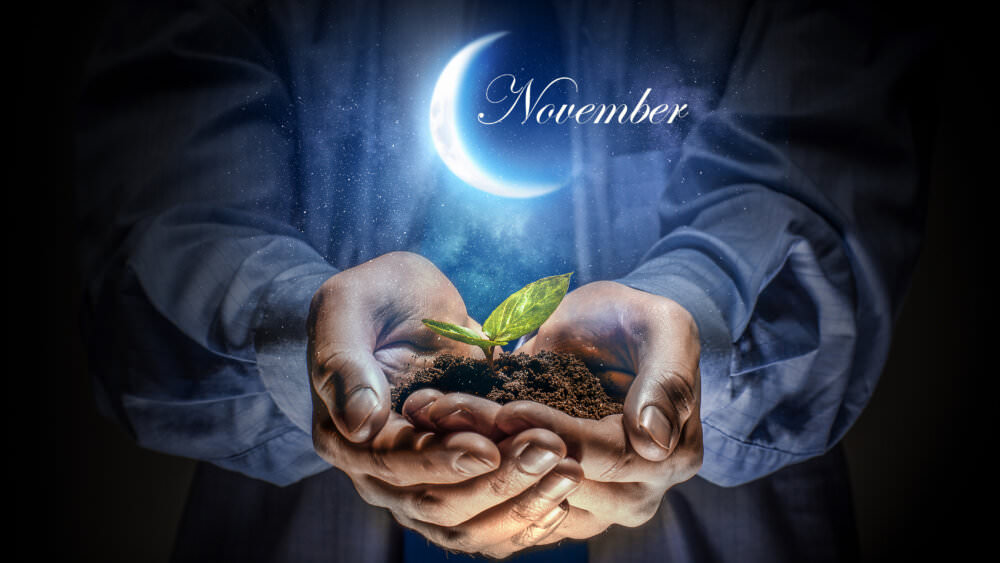 Mondkalender November