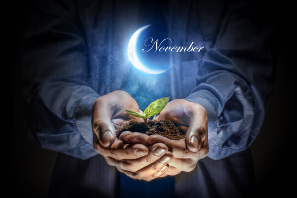 Mondkalender November