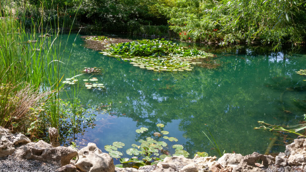 Teich Garten