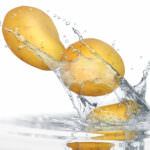 Blattläuse Hausmittel Kartoffelwasser