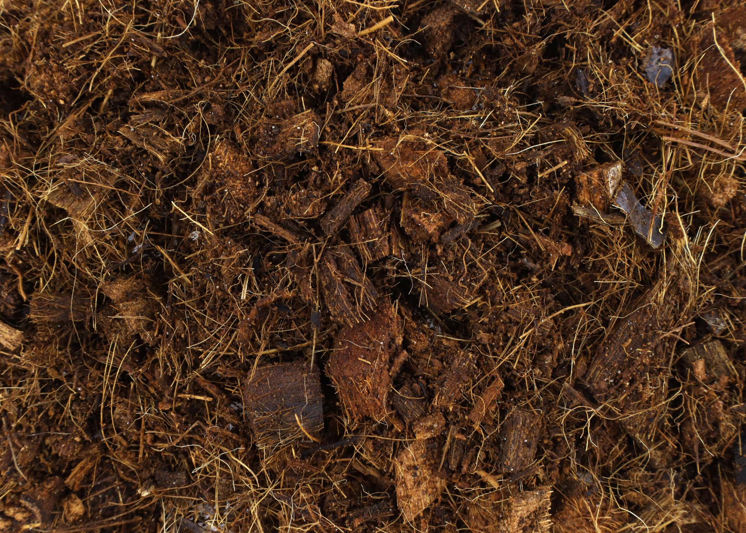 Kokoserde als Alternative zu Pflanzerde: Rein organisches Produkt in  verschiedenen Formen - Samenhaus Gartenblog
