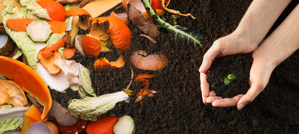 5 Kompost-Probleme: Was Sie tun können und wie Sie sie vermeiden