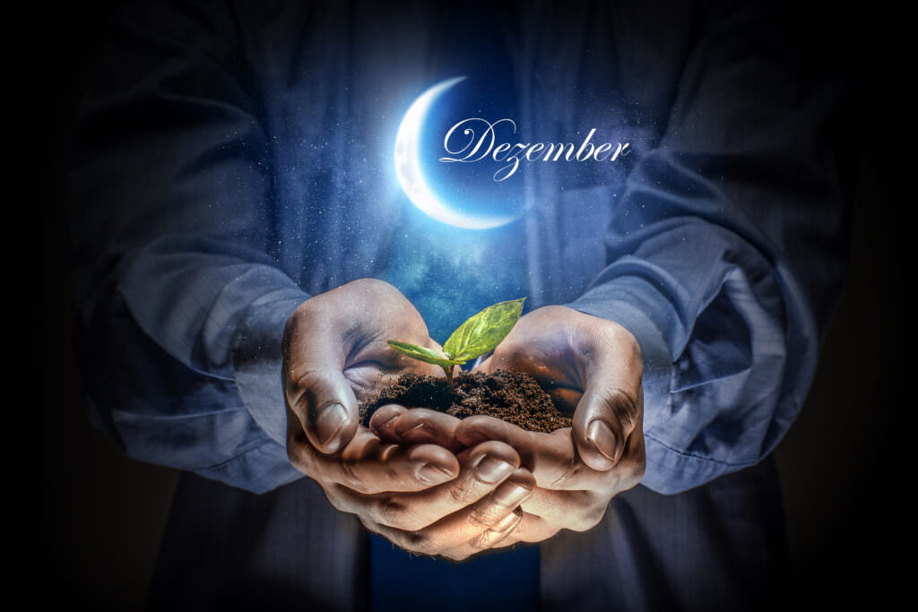 Mondkalender Dezember 2022