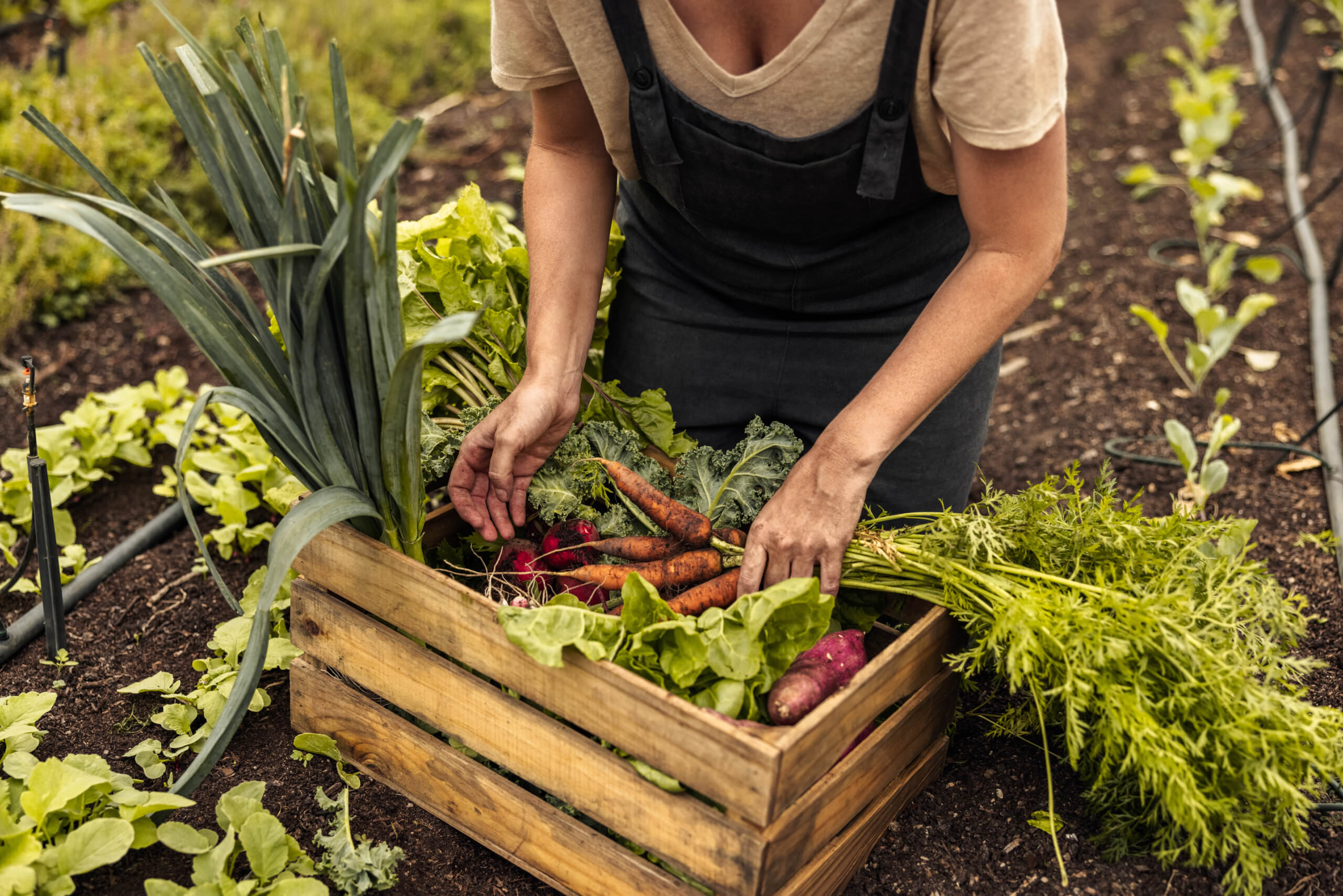 werden So eignen Sie sich Wissen an Samenhaus Gartenblog