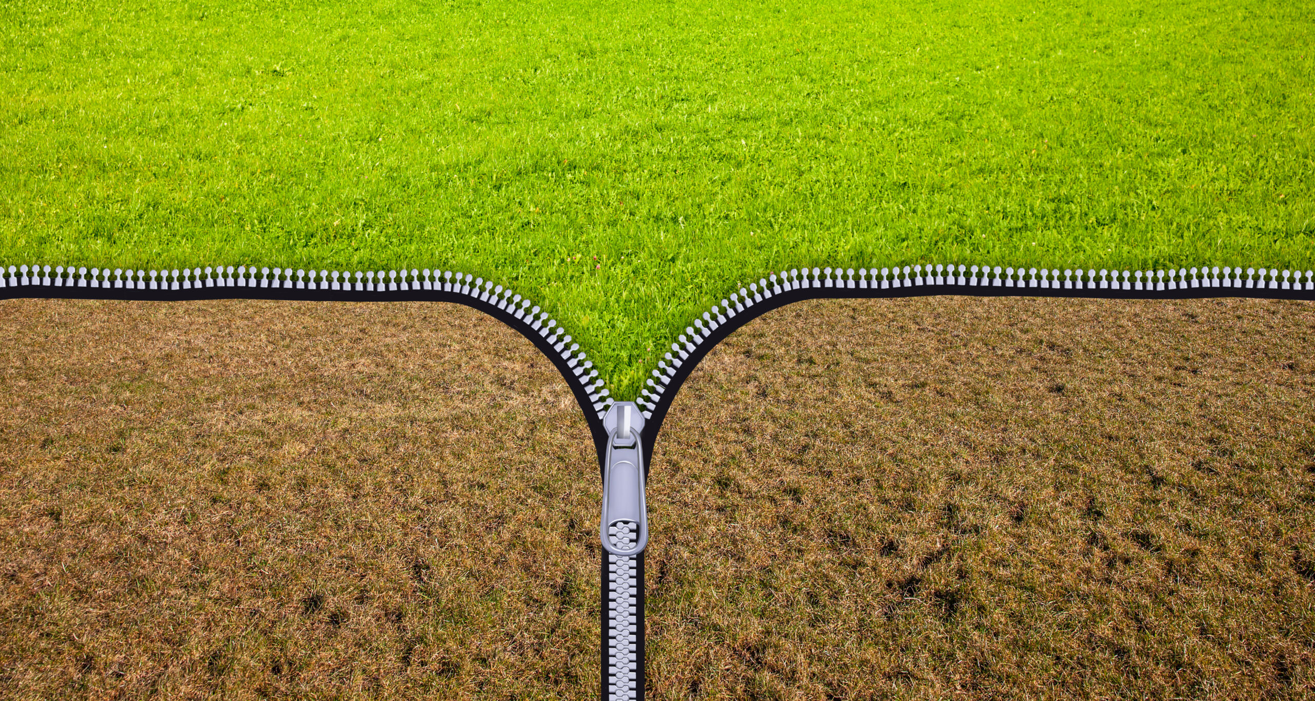 Rasen ist vertrocknet? Die richtige Pflege bringt Rettung - Samenhaus  Gartenblog