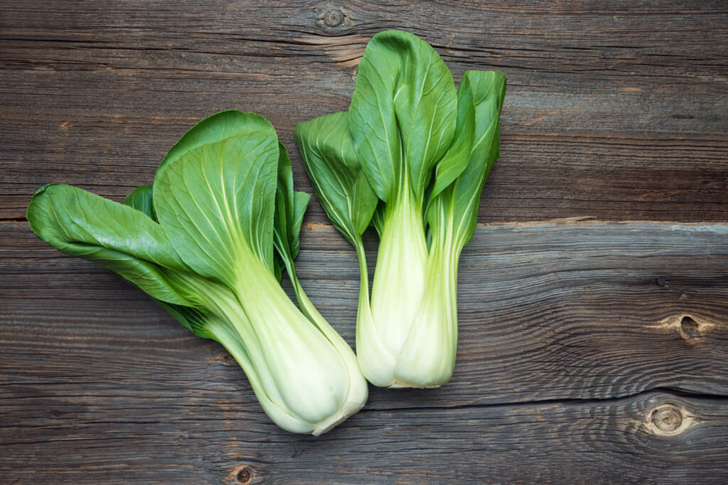 gesund-lecker-g-nstig-gem-sebeet-unter-10-euro-anlegen-samenhaus