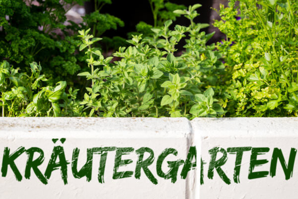 Kräuterbeet