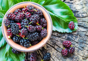 Maulbeeren in Schüssel