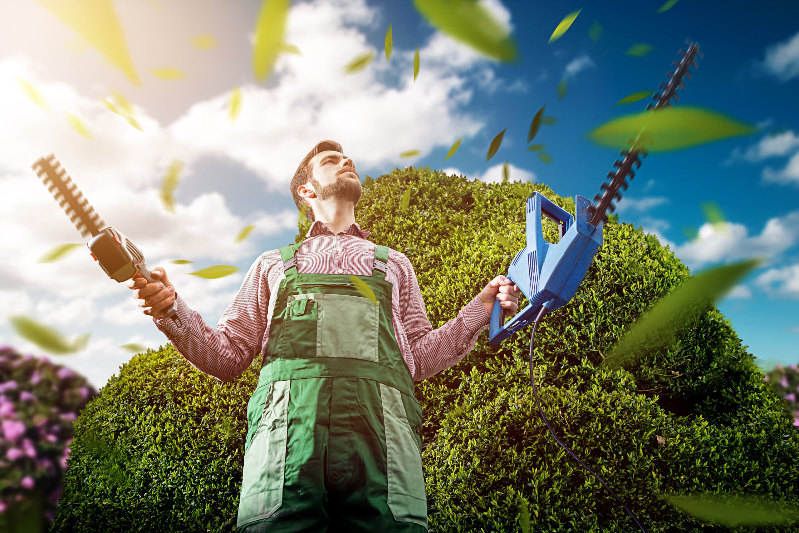 Tipps für ungeduldige Gärtner Samenhaus Gartenblog