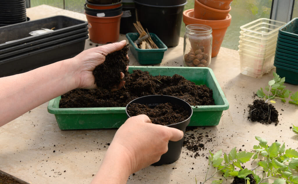Aussaaterde selbst herstellen – Geld sparen mit dieser Anleitung ...