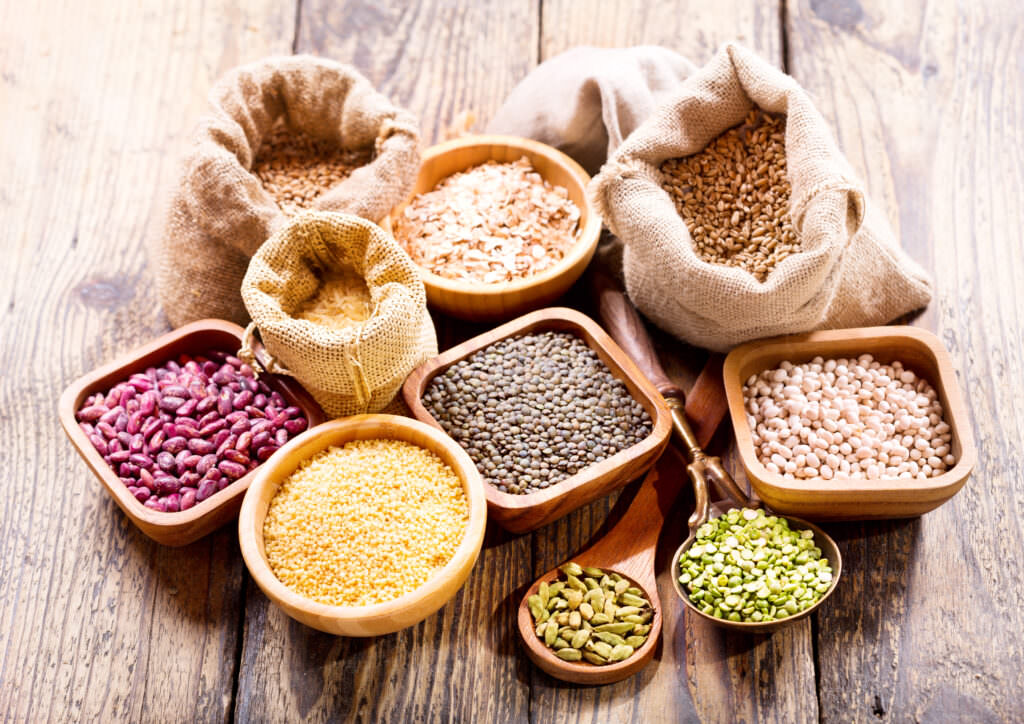 Bio-Saatgut und konventionelles Saatgut: Was sind die Unterschiede?