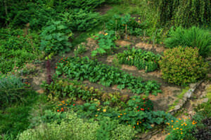 Biodynamik Garten