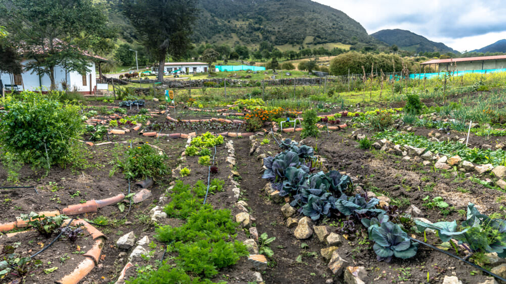 Biodynamischer Garten