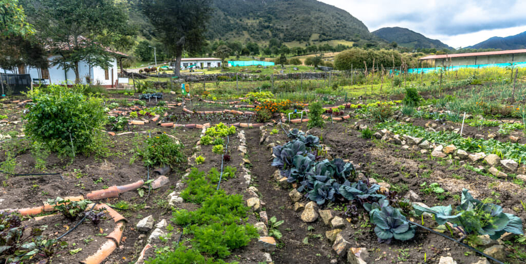 Biodynamischer Garten: selbsterhaltender Organismus, der sich selbst reguliert