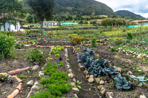 Biodynamischer Garten