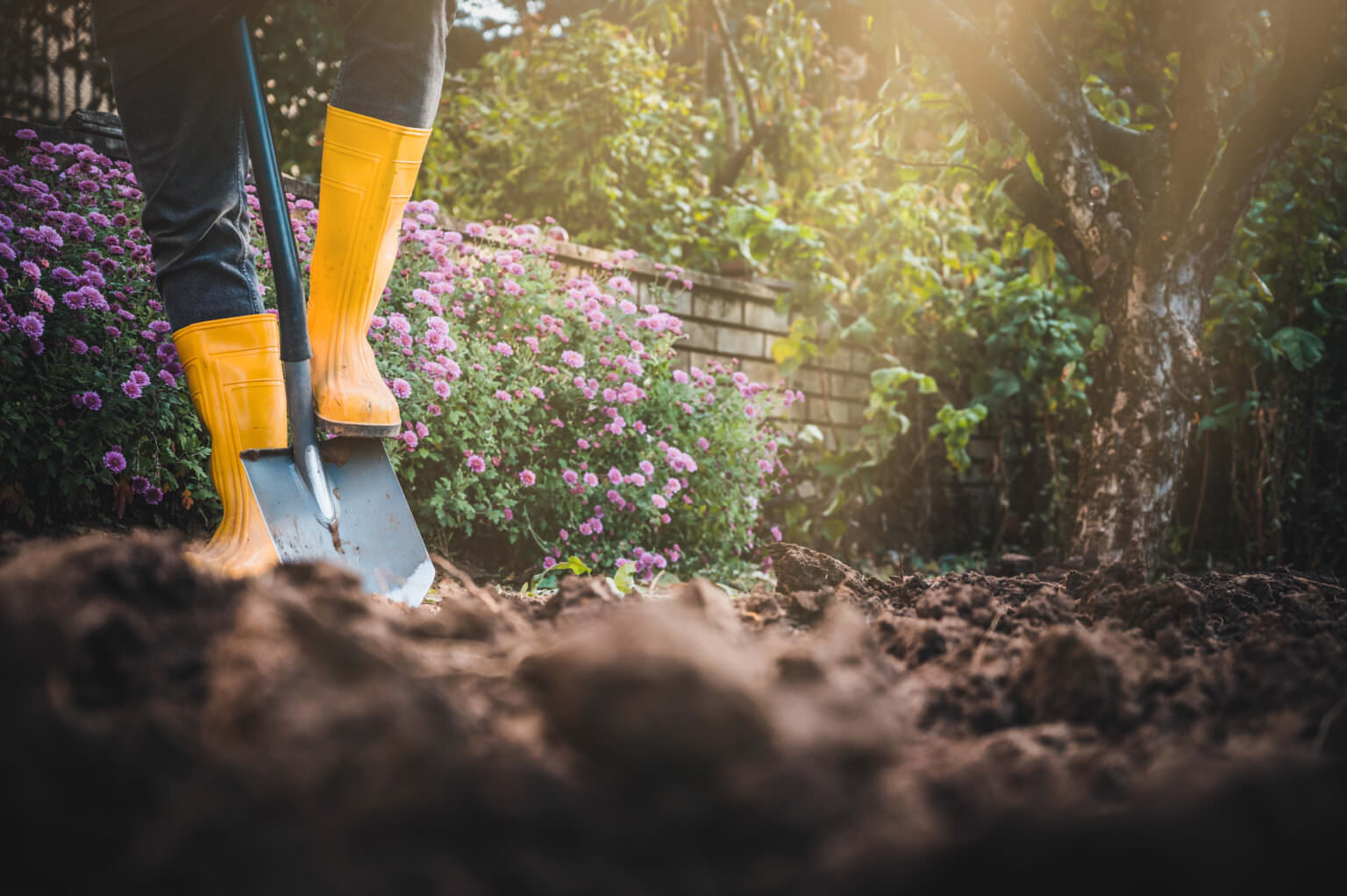 Der erste eigene Garten wie starte ich? Samenhaus Gartenblog