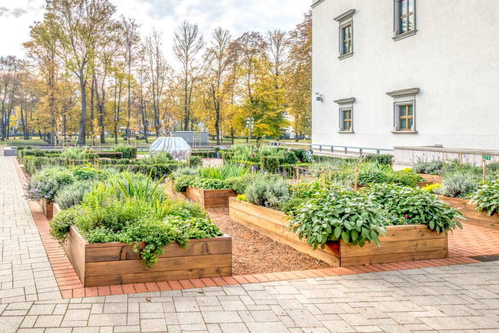Essbare Stadt: urbanen Raum zum Anbau von Lebensmitteln nutzen