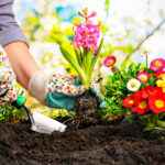 Gartenarbeit – gesund durchs Gartenjahr