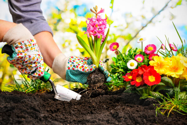 Gartenarbeit