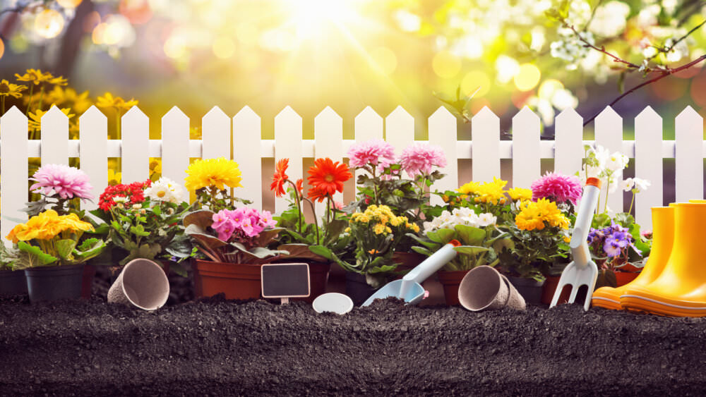 Grundbegriffe Gartenanfänger