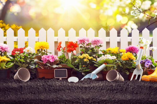 Grundbegriffe Gartenanfänger