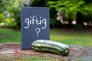 giftige Zucchini