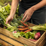 Ideale Sorten und längere Ernteperiode: Garten optimal planen