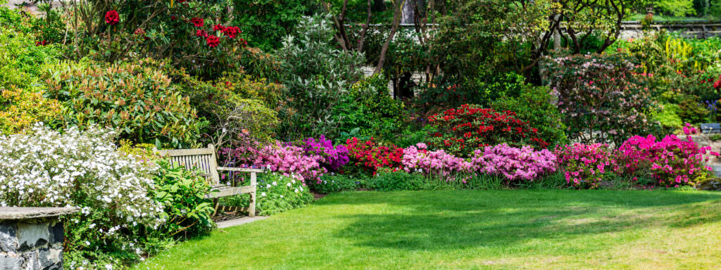 Von der Brachfläche zum ersten eigenen Garten: die Schritt-für-Schritt-Anleitung