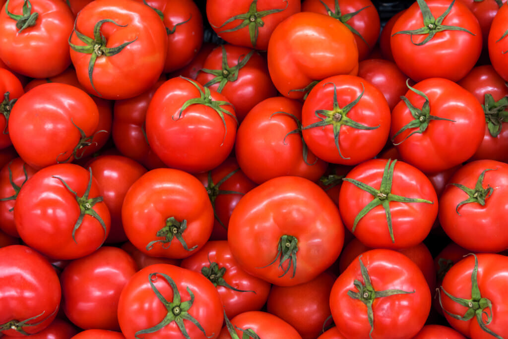 Anbau von Tomaten: Sortenwahl, Standort und Pflege