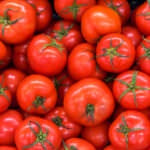 Anbau von Tomaten: Sortenwahl, Standort und Pflege