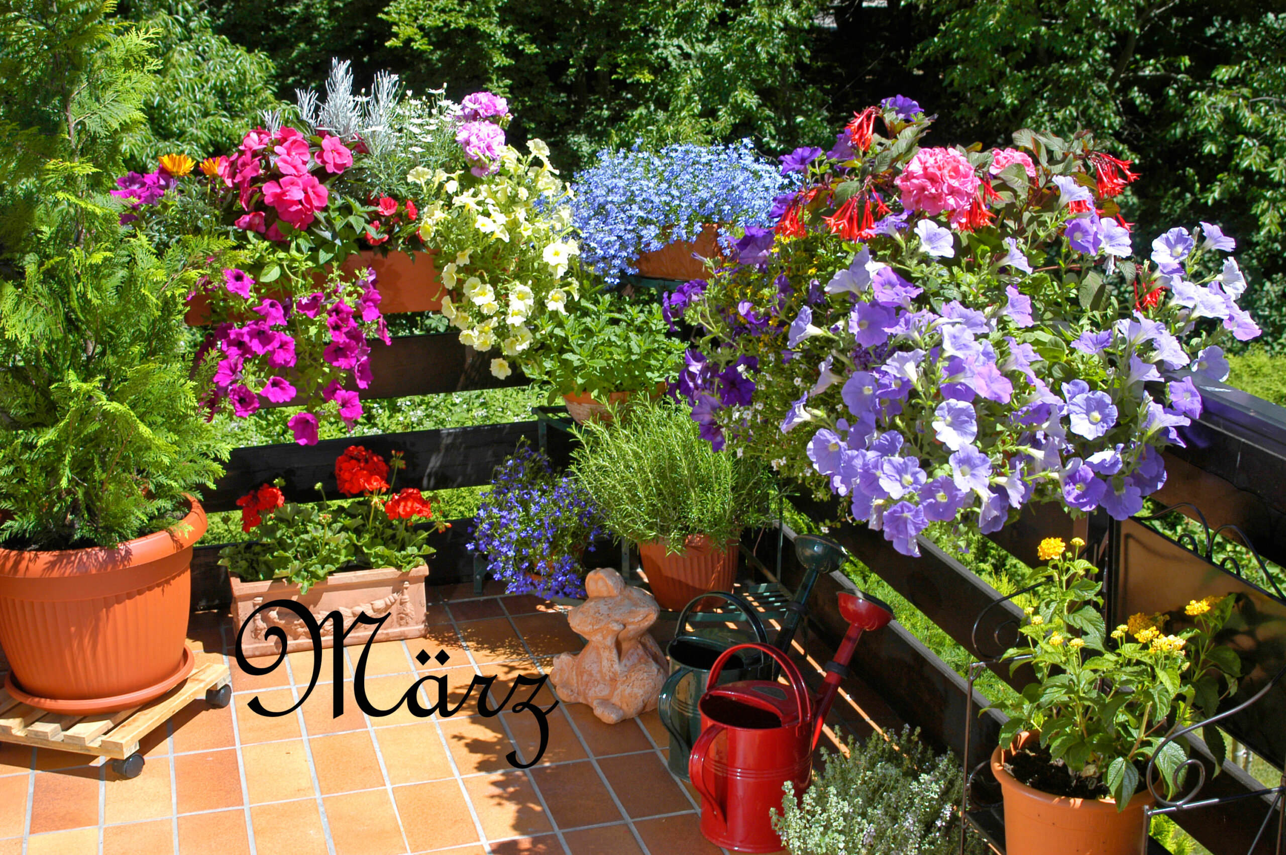 Balkonarbeiten im Mrz - Samenhaus Gartenblog