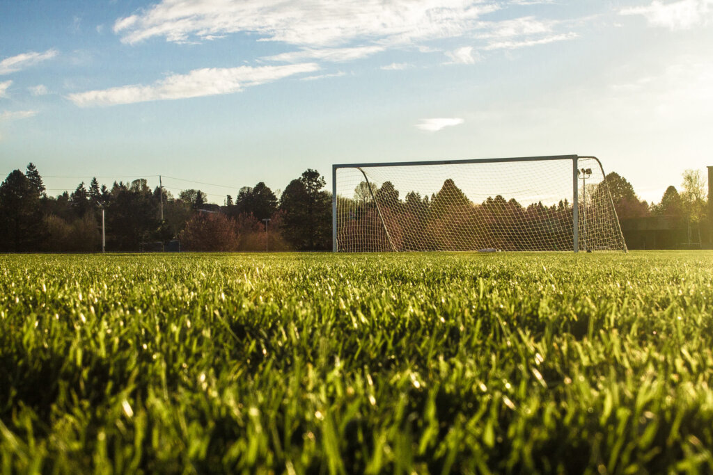 Anlage und Pflege eines Fußballplatzrasens