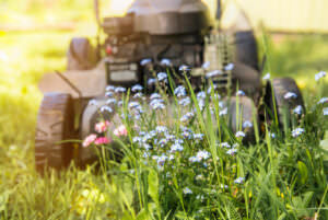 Blumenwiese mähen